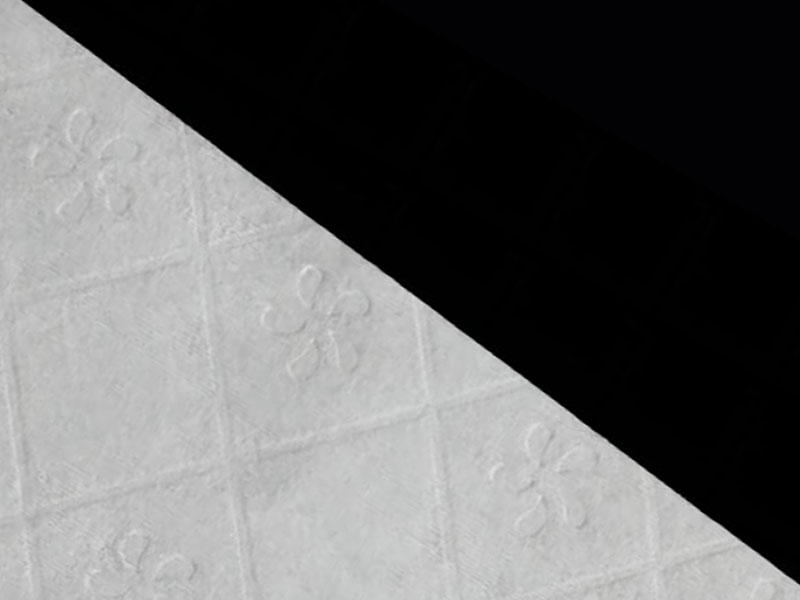 ผ้าวิสโคส/เยื่อกระดาษชำระสำหรับกระดาษชำระ